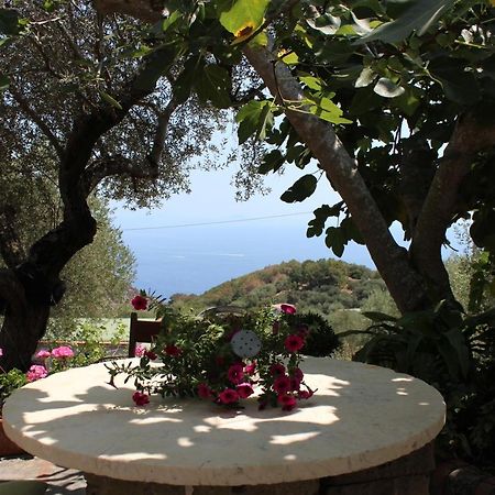 Casa Josella Villa Massa Lubrense Exterior photo