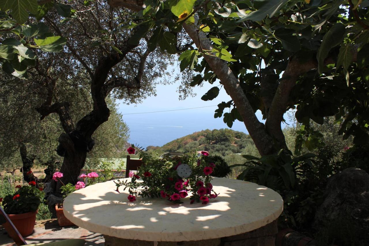 Casa Josella Villa Massa Lubrense Exterior photo