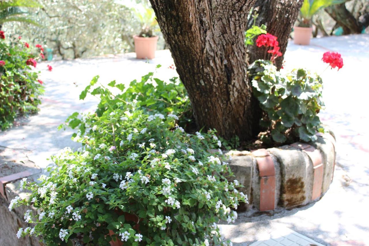 Casa Josella Villa Massa Lubrense Exterior photo