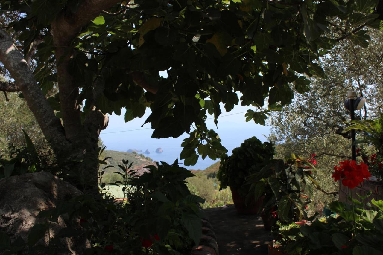 Casa Josella Villa Massa Lubrense Exterior photo