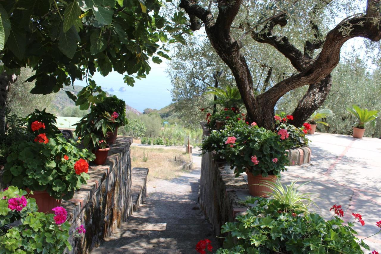 Casa Josella Villa Massa Lubrense Exterior photo
