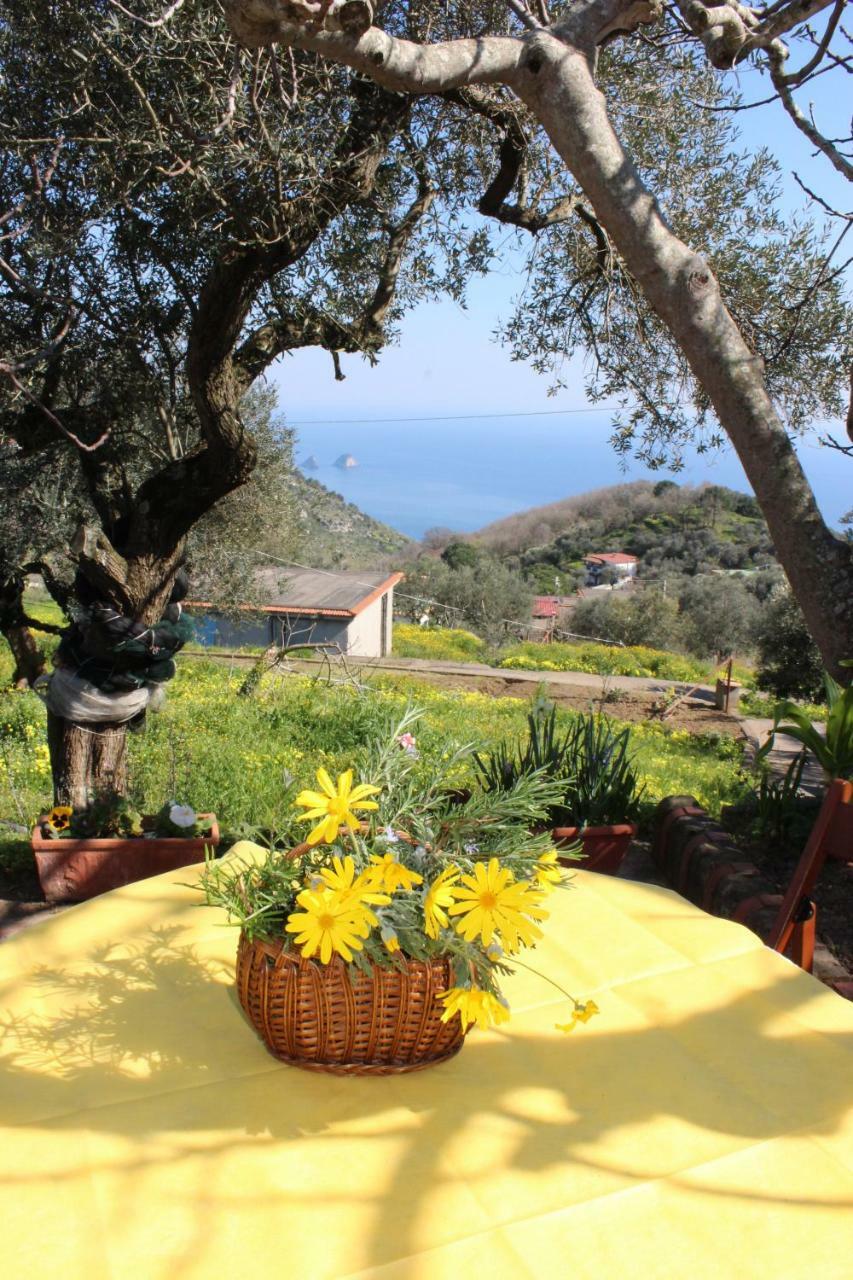 Casa Josella Villa Massa Lubrense Exterior photo