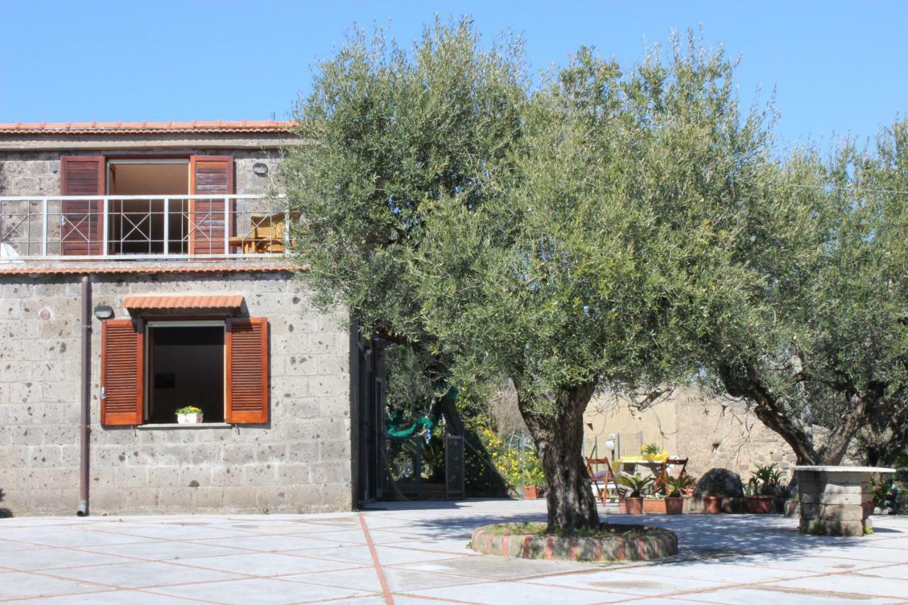 Casa Josella Villa Massa Lubrense Exterior photo