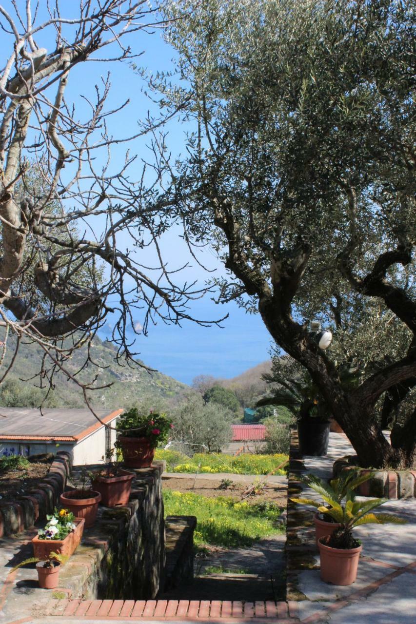 Casa Josella Villa Massa Lubrense Exterior photo