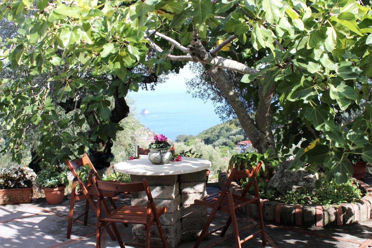 Casa Josella Villa Massa Lubrense Exterior photo
